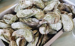 国产福利视频在线偷拍